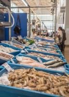 Apartamento en primera línea de mar - B&B Vinaròs