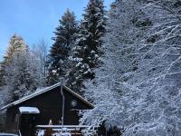 Chalet cosy proche de Gérardmer et Colmar - Nature, WIFI, 2 chambres, terrasse, garage - FR-1-589-306 - B&B Plainfaing