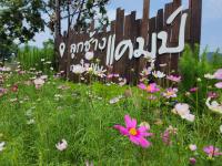 ลูกช้างเขาใหญ่แคมป์ - Ferienwohnung