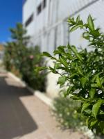 Maria's Entire House HIGUEY 2BD - Chambres d’hôtes Higüey