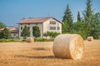 Agriturismo Casella Del Piano - Bed and Breakfast