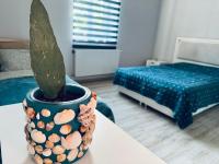 Serbian House - B&B