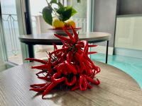 Enrica Guarda Capri - Appartament - B&B Conca dei Marini