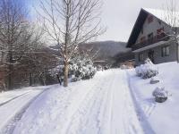 Vikend kuća Ivković - Chambres d’hôtes Rudnik