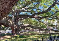 NEW! Canopy Cove, Luxury Downtown Apartment Near Main St - B&B Safety Harbor