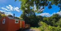 B&B Oswestry - Red Kite at Wild Valley Huts - Bed and Breakfast Oswestry