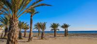 Disfruta de Santa Pola, acogedor apartamento en el centro. - B&B Santa Pola