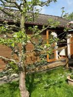Tiny House mit Garten in See-Nähe - B&B