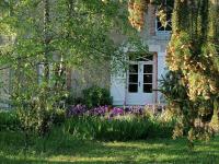 B&B Mont-près-Chambord - La Robinière Maison d'Hôtes - Bed and Breakfast Mont-près-Chambord