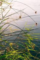 Rivertime - B&B Malgas