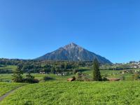 See und Berge Family - Ferienwohnung Faulensee