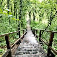 Kuća za odmor Suha gora - B&B Vrhovac