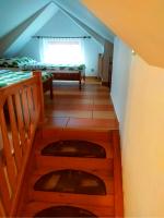 Family Studio