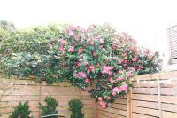 Entire Stunning Townhouse 3br/2.5ba w Parking - B&B Seattle