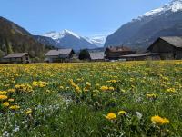 Family-friendly chalet apt with balcony - B&B