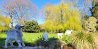 Le Domaine des Sources - Ferienwohnung