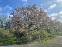 Frejas bed and breakfast - B&B Langeskov