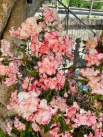 Casa Vacanze Marisa - Bed and Breakfast