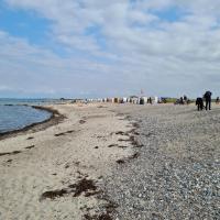 Ferienwohnung STRANDGUT - Ferienwohnung Behrensdorf