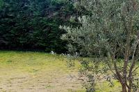 Chambre lit double, Salon, cuisine, jardin - B&B Couze-et-Saint-Front