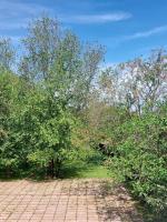Doppel-/Zweibettzimmer mit Gartenblick