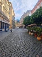 Laurinska modern apartment in direct centrum of Bratislava, Air-condition - B&B Bratislava
