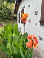 Casa Costera - Chambres d’hôtes Orosei