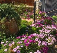 Villa Isola - B&B