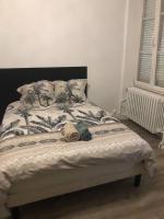 Appartamento con 1 Camera da Letto