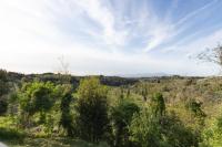 [- Sotto la Loggia -] - B&B Usigliano