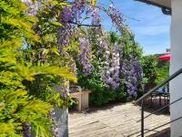 B&B Custinne - La Maison du Sabotier - Bed and Breakfast Custinne