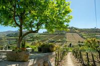 Cosy Historical House in Lamego - Quinta do Cabo - Ferienwohnung Lamego