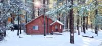 Catalina Creekside Cabin - Log home with wood burning fireplace for an immersive mountain getaway! - Chambres d'hôtes Big Bear Lake