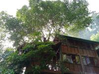 Chalet Superior