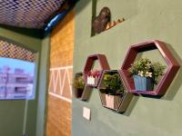 Studio with the visions of the Nile and the pyramids in Maadi - B&B