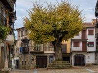 EL VIEJO OLMO - Chambres d’hôtes