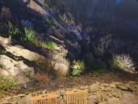 Le Moulin de l'O-L'Orle Nature formule 4 personnes - B&B Semur-en-Auxois