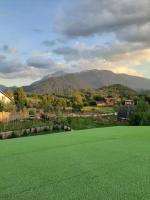 Casa cu mesteceni - B&B
