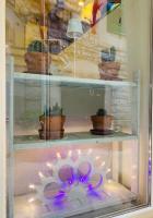 Old Town Moschetti 20 - Bed and Breakfast Corato