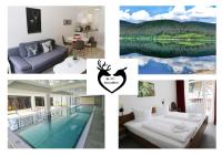 B&B Schluchsee - Kurhotel Schluchsee App 1511 - Schwarzwaldhirsch - mit Innenpool und Sauna, Schluchsee - Bed and Breakfast Schluchsee