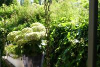 Land und Leute - Landleben Fewo 1 - B&B Fritzlar