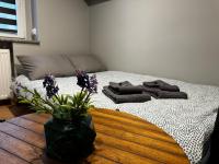 B&B Oppeln - Studio przy Rynku - self check in - Bed and Breakfast Oppeln