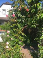 Szalonka apartman - B&B