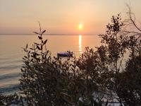 Apartment Insula - B&B Kožino