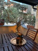 Bed and Bike Milena Apartment - B&B Orsera