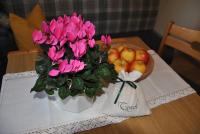 Appartamento con 1 Camera da letto con doccia