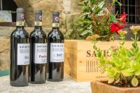 Appartamento - Piano Terra