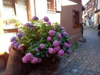 B&B Troyes - Studio Danton - Bed and Breakfast Troyes