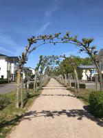 B&B Ostseebad Baabe - Haus Nicolai FeWo 8 - Bed and Breakfast Ostseebad Baabe