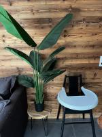 Chalet Martin Belle-Vue - B&B Aime